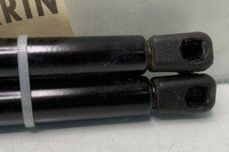 Verin de coffre RENAULT MEGANE 2