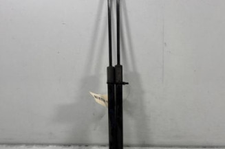 Verin de coffre RENAULT CLIO 3 Photo n°1