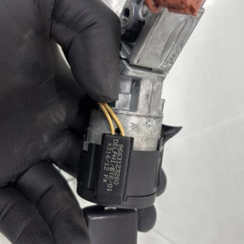 Neiman PEUGEOT 207 Photo n°4