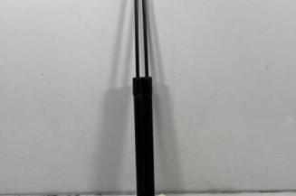 Verin de coffre PEUGEOT 207 Photo n°1