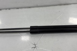 Verin de coffre PEUGEOT 207