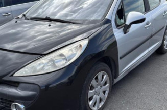 Baguette de porte arriere gauche  PEUGEOT 207