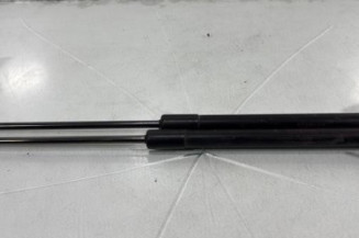 Verin de coffre NISSAN QASHQAI 1 Photo n°1