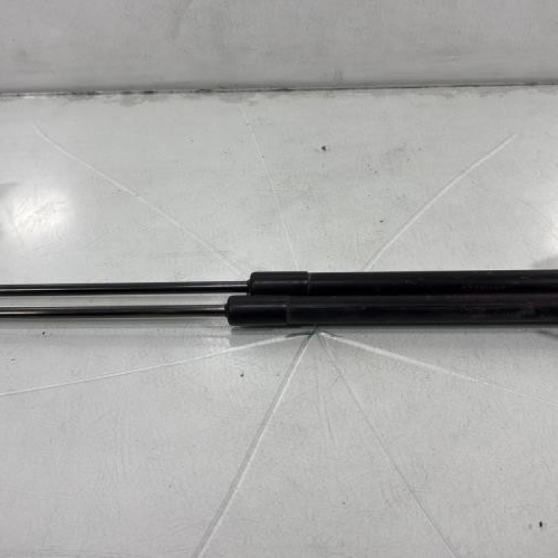 Verin de coffre NISSAN QASHQAI 1 Photo n°1