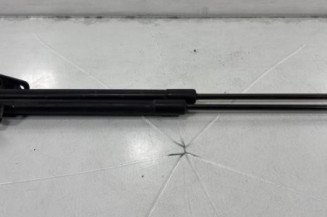 Verin de coffre NISSAN QASHQAI 1