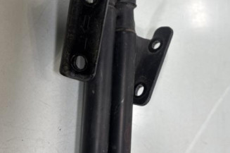 Verin de coffre NISSAN QASHQAI 1