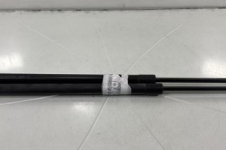 Verin de coffre RENAULT GRAND SCENIC 3 Photo n°1