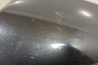 Retroviseur gauche RENAULT LAGUNA 3