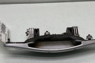 Poignee porte arriere gauche DACIA DUSTER 1