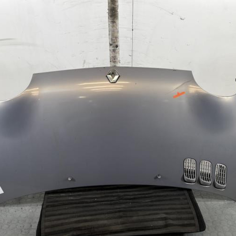 Capot RENAULT TWINGO 1 Photo n°1