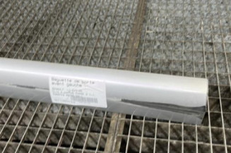 Baguette de porte avant gauche RENAULT CLIO 2 CAMPUS