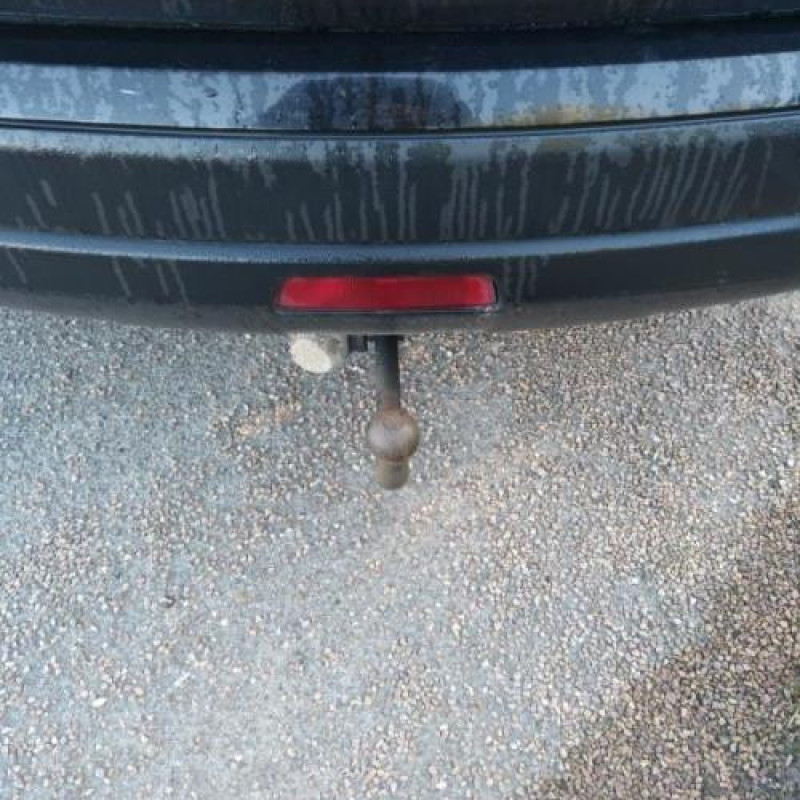 Porte avant droit NISSAN QASHQAI 1 Photo n°16