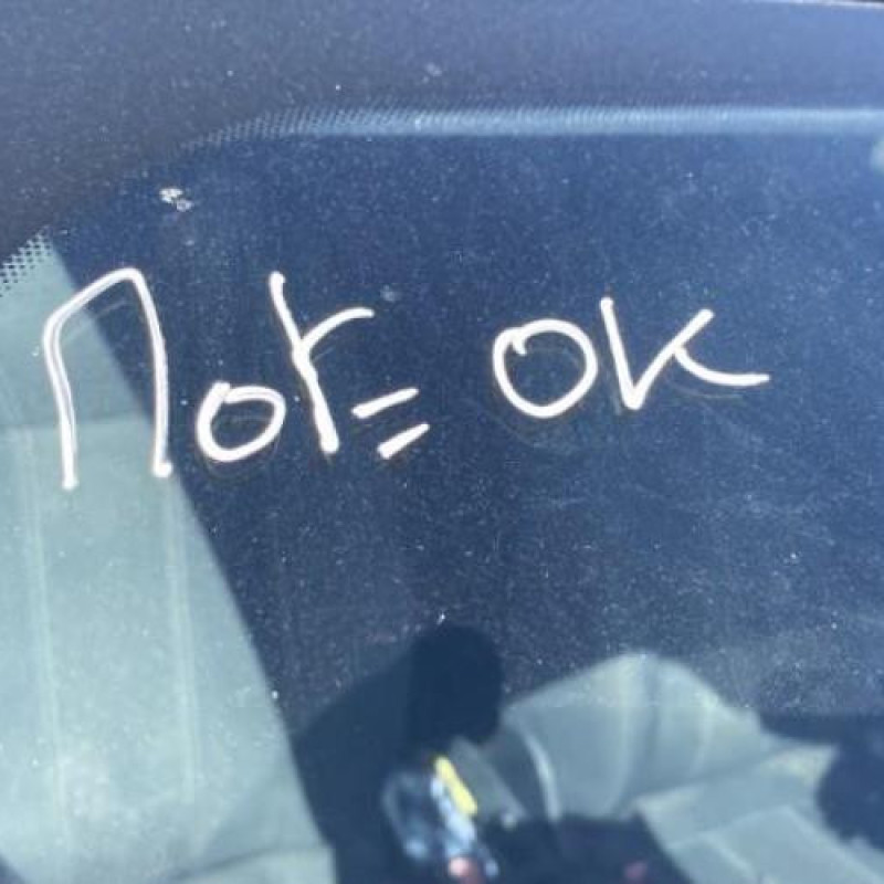 Poignee porte arriere gauche FORD FIESTA 6 Photo n°13