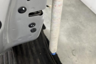 Porte arriere gauche PEUGEOT 208 1