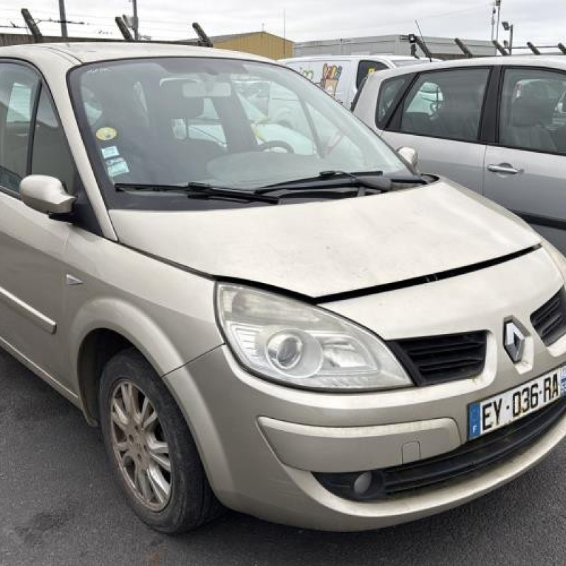 Porte arriere gauche RENAULT SCENIC 2 Photo n°3