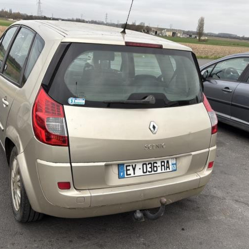 Porte arriere gauche RENAULT SCENIC 2 Photo n°6