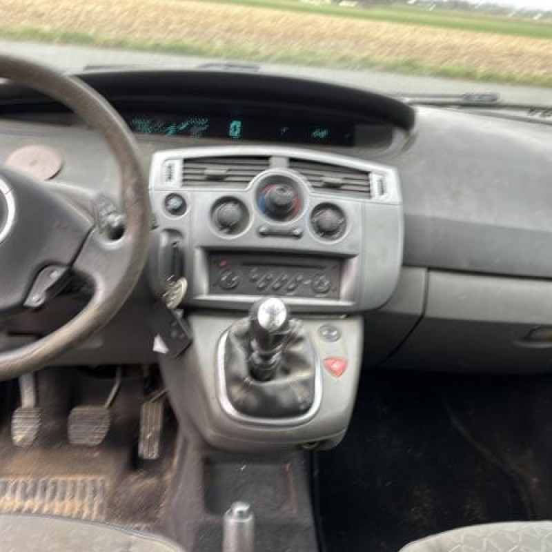 Porte arriere gauche RENAULT SCENIC 2 Photo n°13