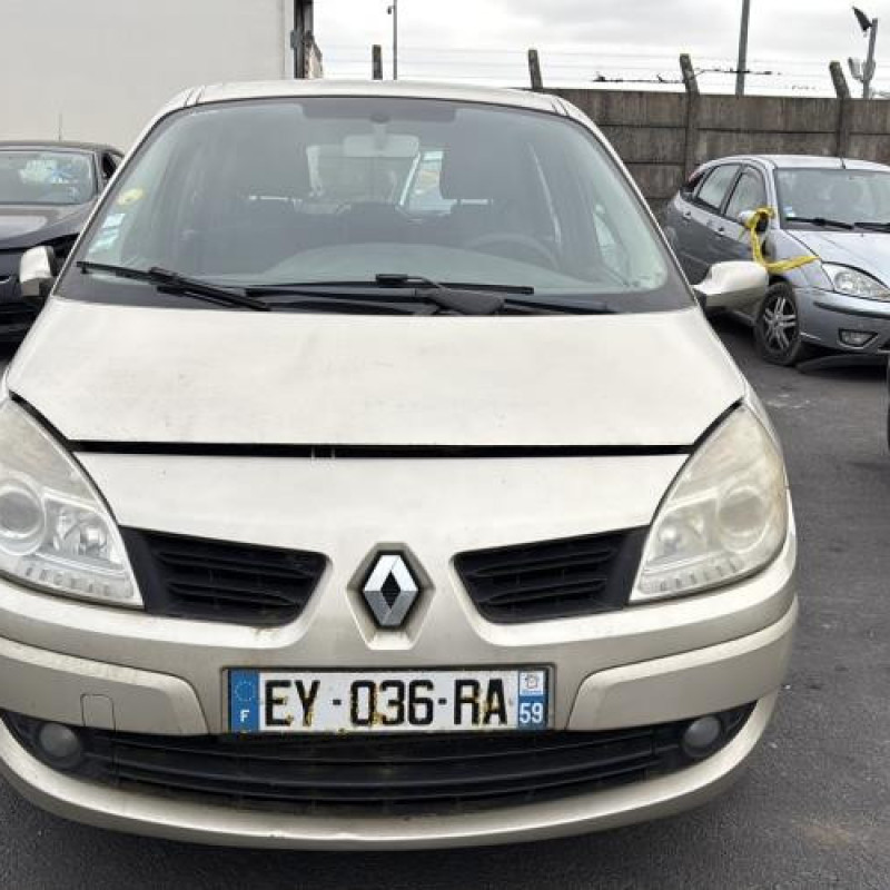 Porte avant droit RENAULT SCENIC 2 Photo n°9
