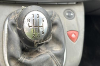 Porte avant gauche RENAULT SCENIC 2