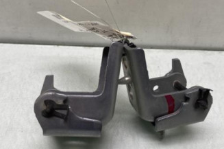 Charniere de porte arriere gauche PEUGEOT 2008 1 Photo n°1