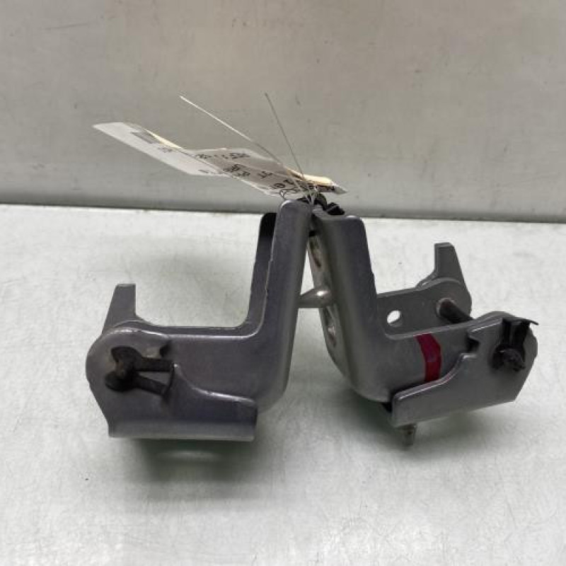 Charniere de porte arriere gauche PEUGEOT 2008 1 Photo n°1