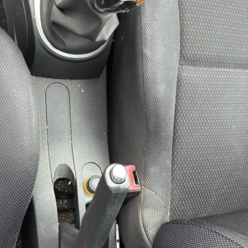 Feu arriere principal gauche (feux) RENAULT CLIO 3 Photo n°20