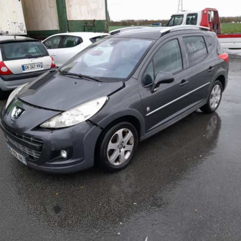 Extension d'aile arriere droit PEUGEOT 207 Photo n°5