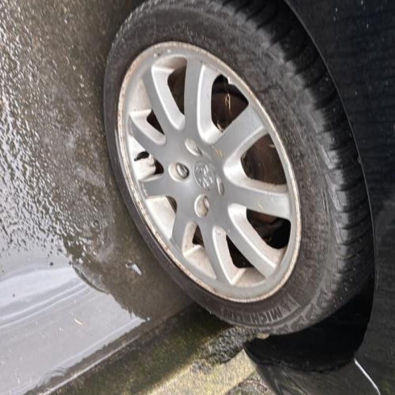 Pare boue arriere gauche PEUGEOT 206 Photo n°13