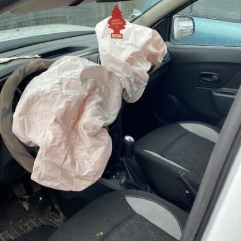 Pare boue arriere gauche DACIA SANDERO 2 Photo n°12