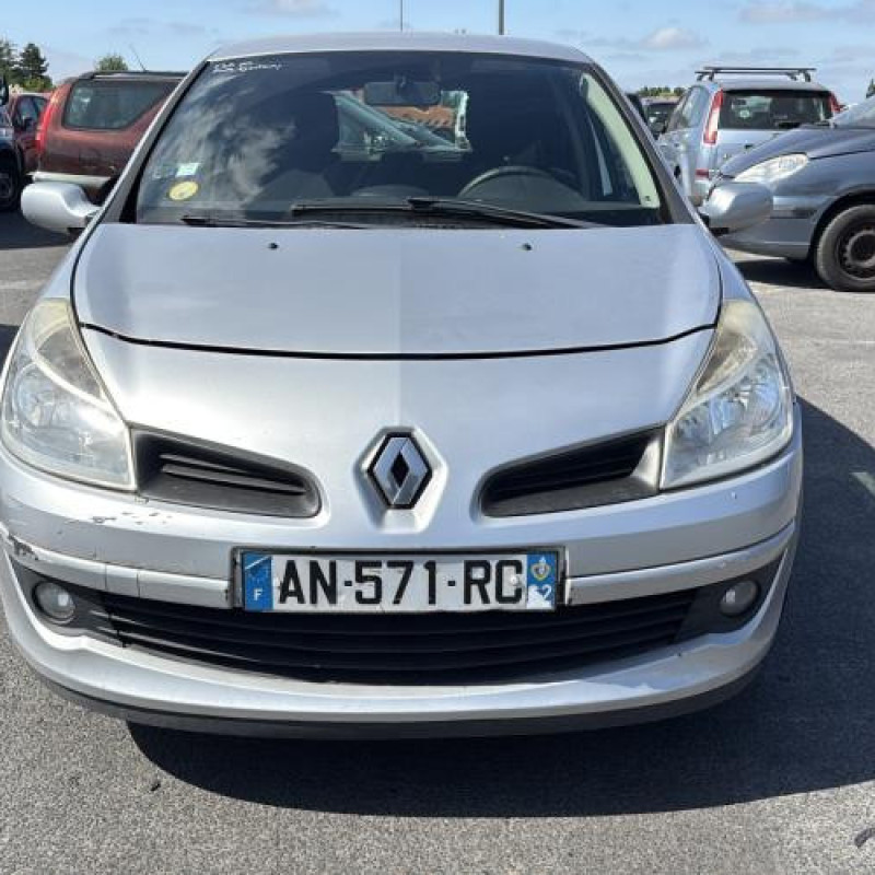 Porte avant droit RENAULT CLIO 3 Photo n°14