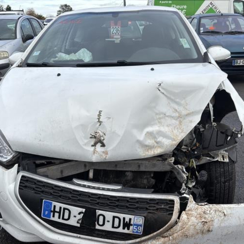 Porte avant droit PEUGEOT 208 1 Photo n°14