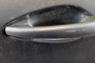 Porte arriere gauche PEUGEOT 2008 1