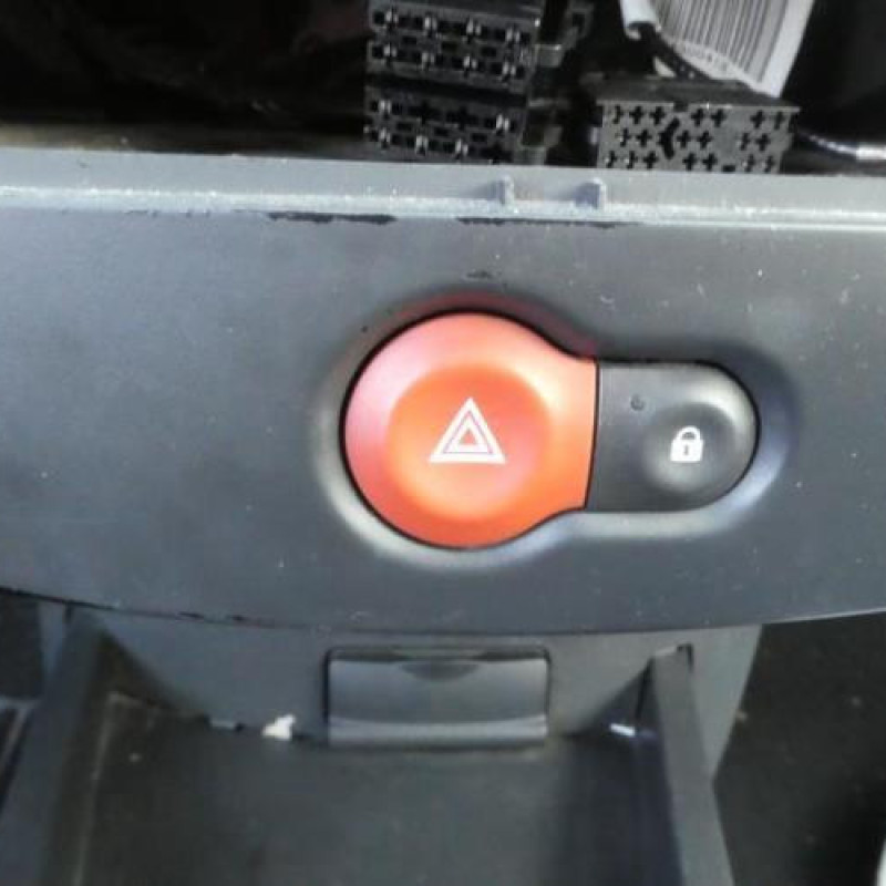 Porte avant gauche RENAULT CLIO 3 Photo n°3