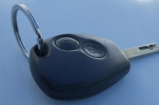 Porte avant gauche RENAULT CLIO 3