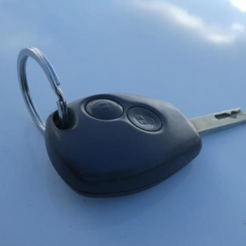 Porte avant gauche RENAULT CLIO 3 Photo n°4