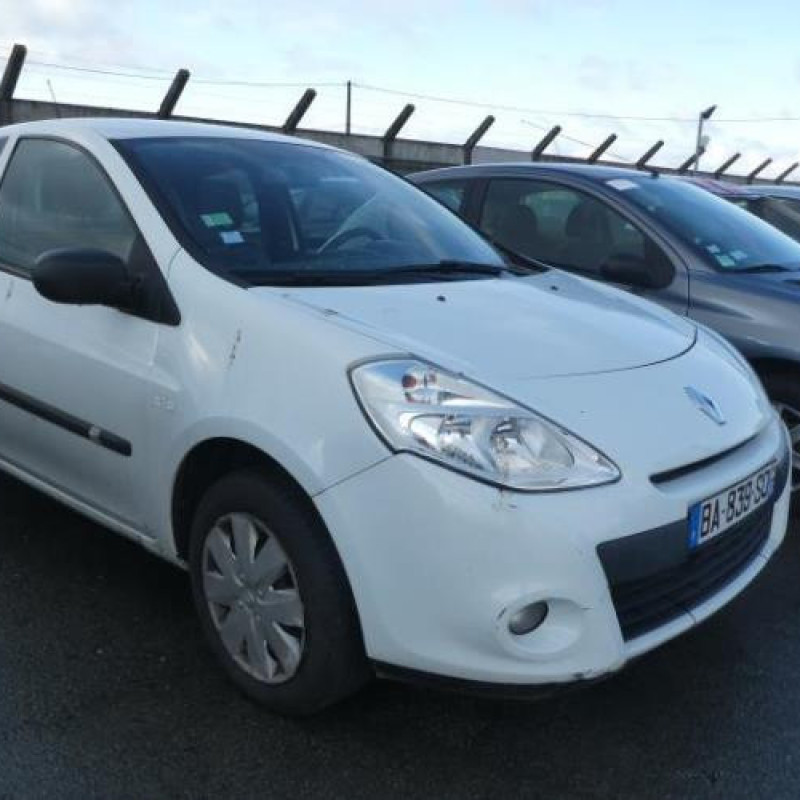 Porte avant gauche RENAULT CLIO 3 Photo n°5