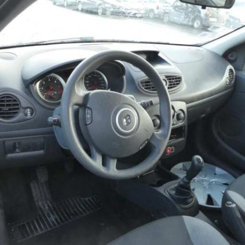 Porte avant gauche RENAULT CLIO 3 Photo n°8