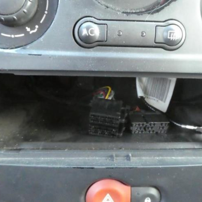 Porte avant gauche RENAULT CLIO 3 Photo n°9