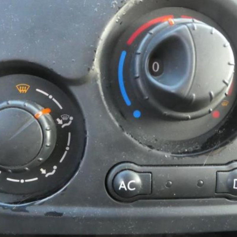 Porte avant gauche RENAULT CLIO 3 Photo n°10