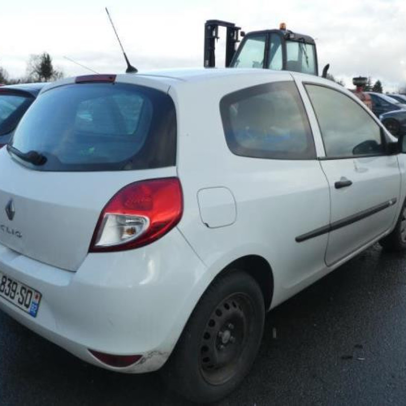 Porte avant gauche RENAULT CLIO 3 Photo n°12