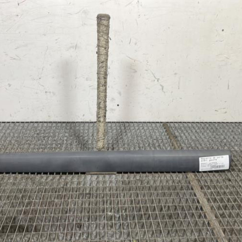 Baguette de porte avant gauche RENAULT CLIO 2 CAMPUS Photo n°1