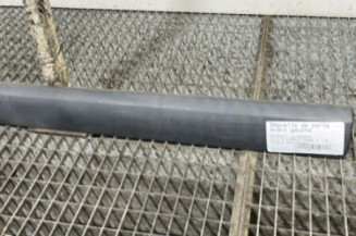 Baguette de porte avant gauche RENAULT CLIO 2 CAMPUS