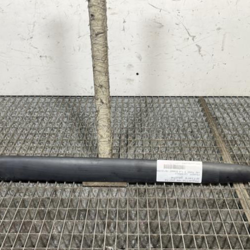 Baguette de porte arriere gauche  PEUGEOT 206 Photo n°1