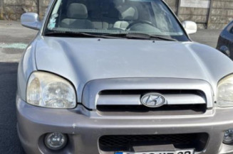 Poignee porte arriere gauche HYUNDAI SANTA FE 1