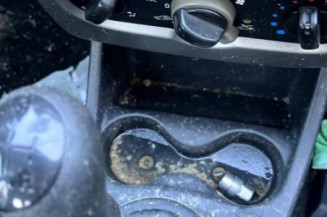 Poignee porte arriere gauche DACIA SANDERO 1