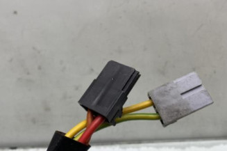 Neiman RENAULT KANGOO 1