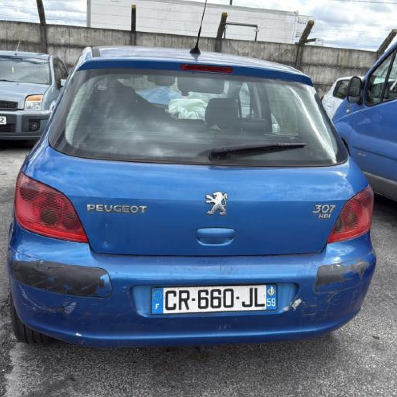 Poignee porte arriere droit PEUGEOT 307 Photo n°9