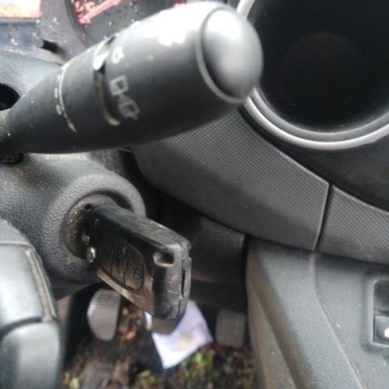 Baguette de porte arriere gauche  PEUGEOT PARTNER 2 Photo n°12