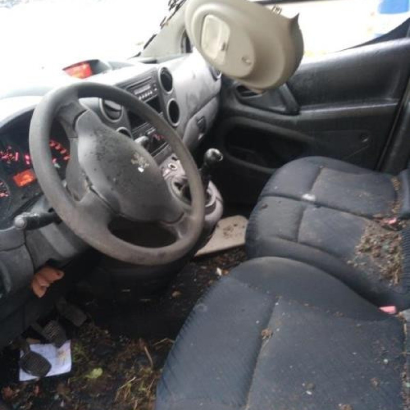 Baguette de porte arriere gauche  PEUGEOT PARTNER 2 Photo n°13