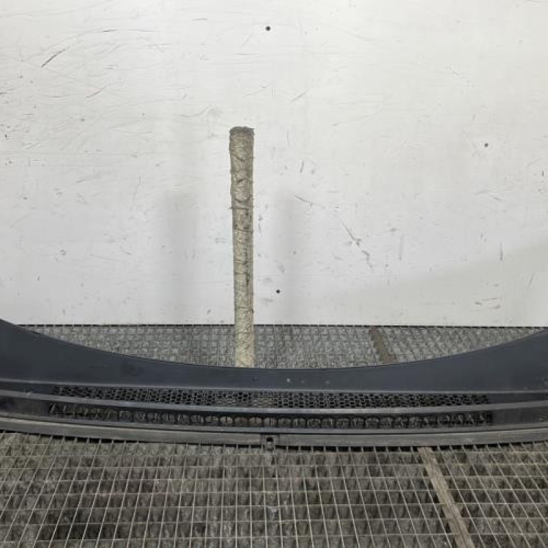 Baie de pare brise PEUGEOT 3008 1 Photo n°1